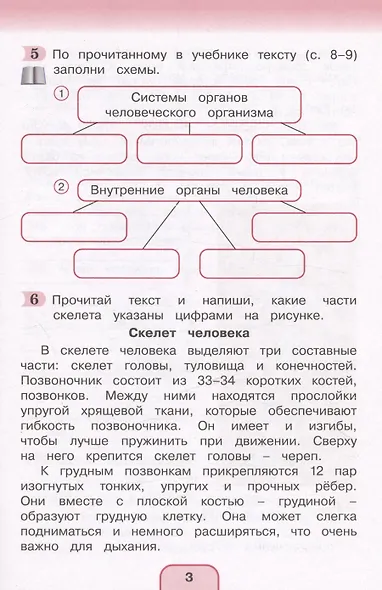 Окружающий мир. Рабочая тетрадь. 3 класс. В двух частях. Часть 2 - фото 3