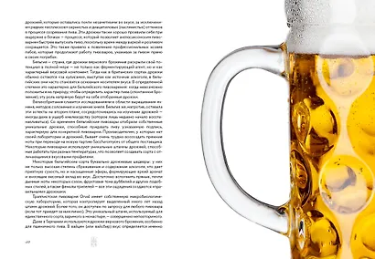 Маленькая книга гурмана. Пиво - фото 14