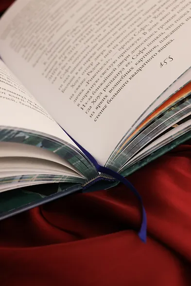 Ходячий замок (подарочное издание) - фото 14