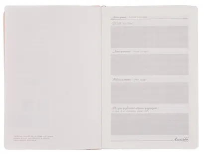 Ежедневник недат. А5 120л "Софт-тач глосс" бежевый, кожзам, мягк.переплет, тиснение 3D-фольгой, справ.мат-лы, ляссе, подар.карт.коробка с ПВХ-крышкой - фото 3