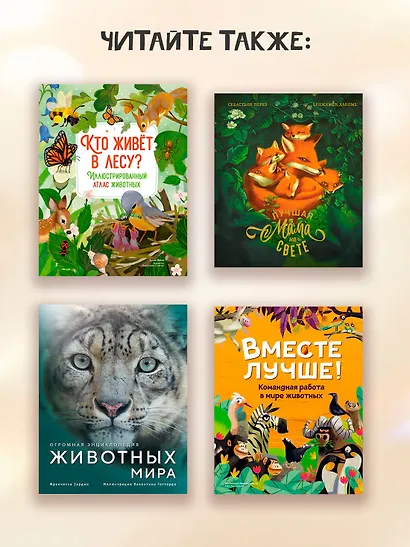 Семья в мире животных. Любовь, забота и воспитание в дикой природе - фото 8
