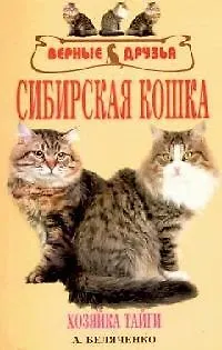 Сибирская кошка. История, стандарт, содержание, разведение, выставки - фото 1