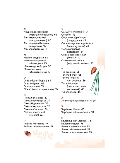 Деревья. Атлас-определитель - фото 10