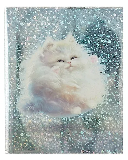 Обложки 03шт д/тетрадей гологр. "ПУХЛЫЕ КОТЫ" 346*215мм, ПВХ 70мкм, три наклейки для персонализации, подвес - фото 2