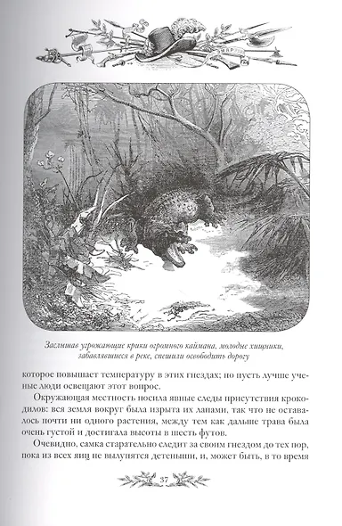 Золотая Кастилия. Медвежонок Железная Голова - фото 7