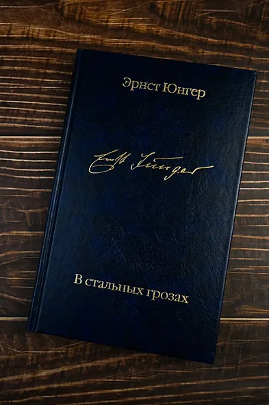 В стальных грозах - фото 7