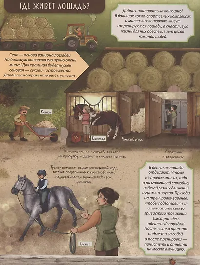 Энциклопедия с окошками (ЦК) Моя первая книга о лошадях - фото 5