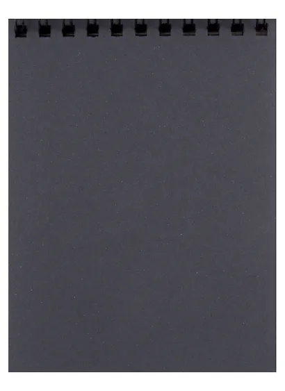 Скетчбук А6 30л "Кот-непоседа" черн.внутр.блок, 120г/м2, гребень - фото 2