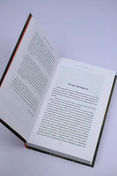 Вьюрки - фото 7