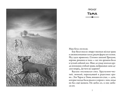 Верные. Книга 1. Когда исчезли все люди - фото 4