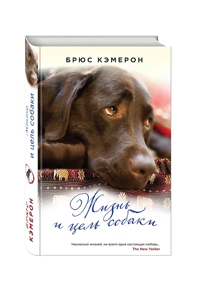 Жизнь и цель собаки - фото 3