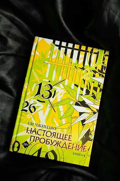 Настоящее пробуждение. Real Awakening. Книга 4 - фото 10