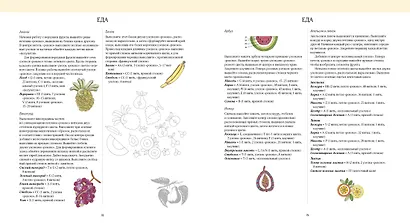 Вышивка в технике "рококо". Более 120 мотивов - фото 6