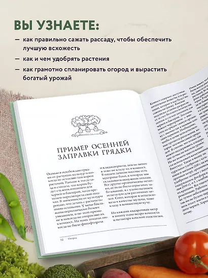 Больше, чем 5 соток. Как на маленьком участке получить максимум урожая - фото 6