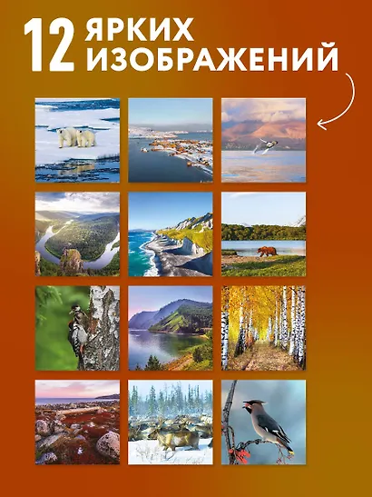 Русская природа. Календарь настенный на 16 месяцев на 2027 год (300х300 мм) - фото 4