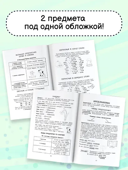 Все правила в картинках. Русский язык и математика - фото 6