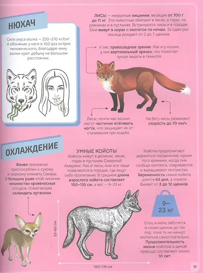 Животные - фото 5