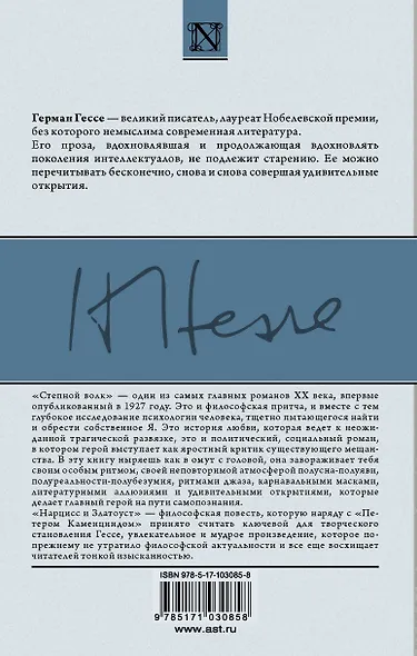 Степной волк: роман. Нарцисс и Златоуст: повесть - фото 2