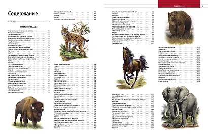 Животные. Все обитатели нашей планеты - фото 11