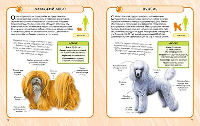 Собаки - фото 7