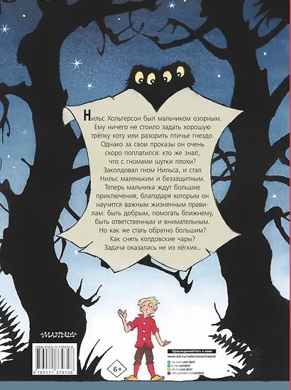 Чудесное путешествие Нильса с дикими гусями - фото 2