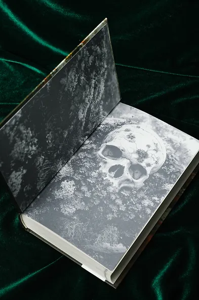 Монстр из Арденнского леса. Песнь лабиринта - фото 7