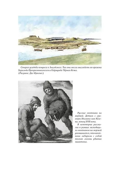 Чёрный Викинг - фото 3