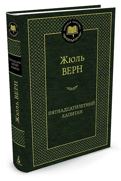 Пятнадцатилетний капитан - фото 2