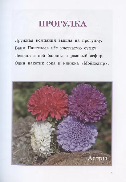 Цветы - фото 5