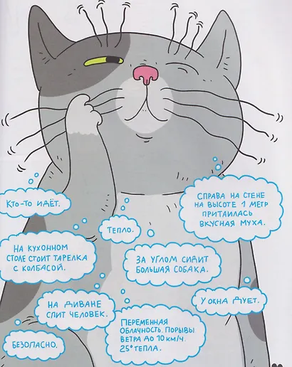 Кошки. Большие секреты маленьких хищников. Энциклопедия для детей - фото 3