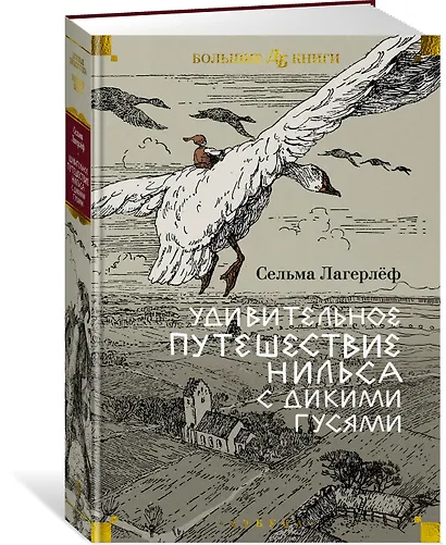 Удивительное путешествие Нильса с дикими гусями - фото 3