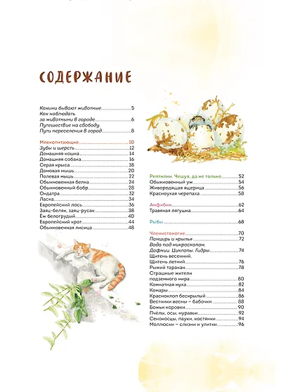 Животные в городе. Где найти и как узнать - фото 9