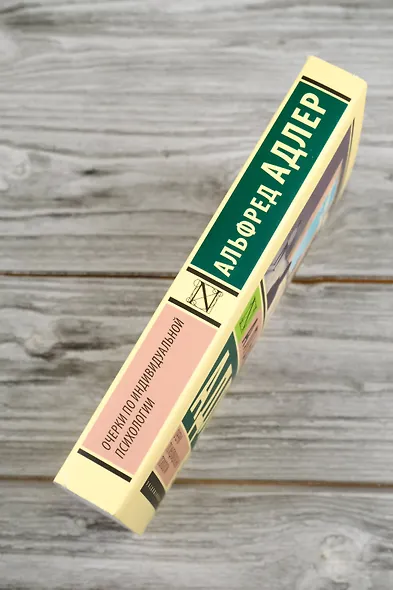 Очерки по индивидуальной психологии - фото 6