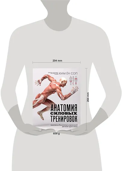 Анатомия силовых тренировок - фото 11