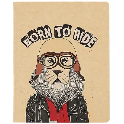 Тетрадь в клетку Academy Style, "Крутые", 48 листов, в ассортименте - фото 4