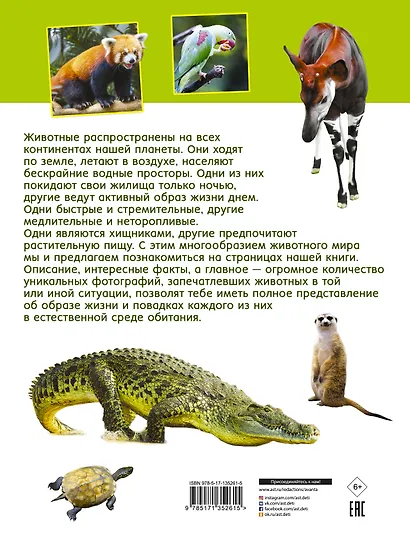 Первая книга о животных. 1000 фотографий - фото 2