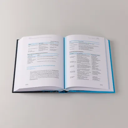 Организационная зрелость и управление кризисами: Как компания становится системой - фото 9