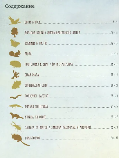Секреты осеннего леса. Визуальная энциклопедия - фото 5