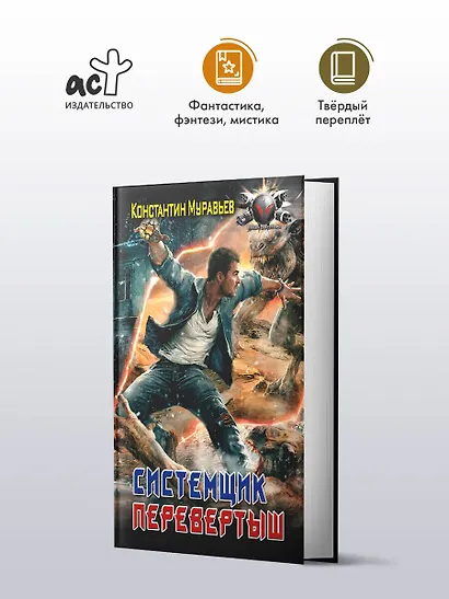 Системщик. Перевертыш - фото 3