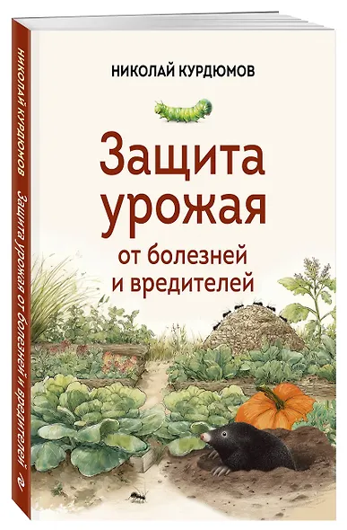 Защита урожая от болезней и вредителей - фото 3