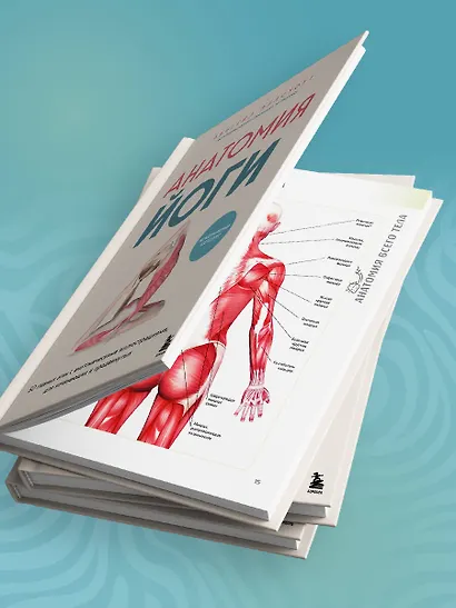 Анатомия йоги. 50 главных асан с анатомическими иллюстрациями, для начинающих и продвинутых - фото 8