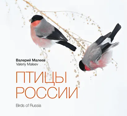 Птицы России - фото 1