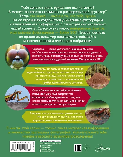 Большая энциклопедия о насекомых. 500 фотографий и фактов - фото 2