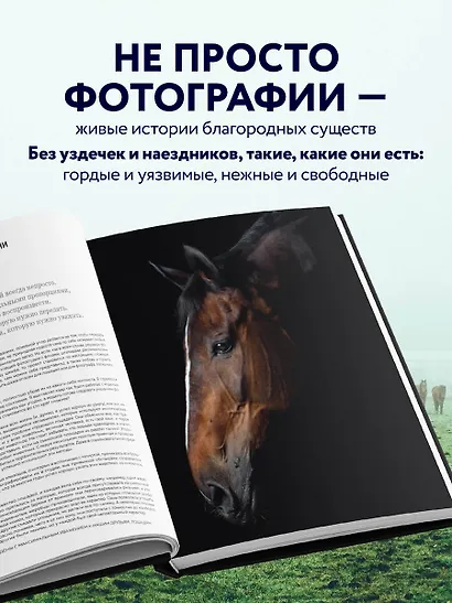 Лошади. Портреты, вдохновленные Рембрандтом. Эксклюзивный фотоальбом - фото 5