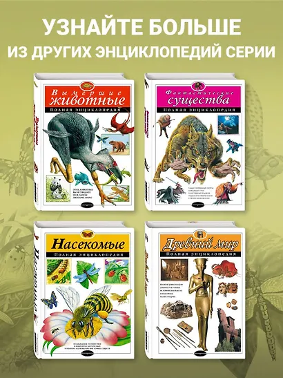 Насекомые. Полная энциклопедия - фото 7