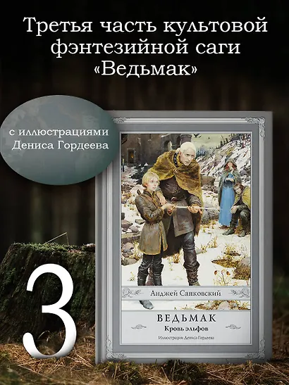 Ведьмак: Кровь эльфов - фото 3