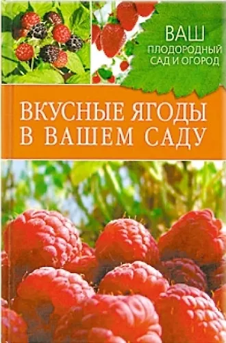 Вкусные ягоды в вашем саду. - фото 1