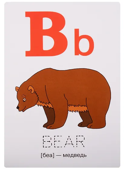 Английский алфавит в картинках - фото 4