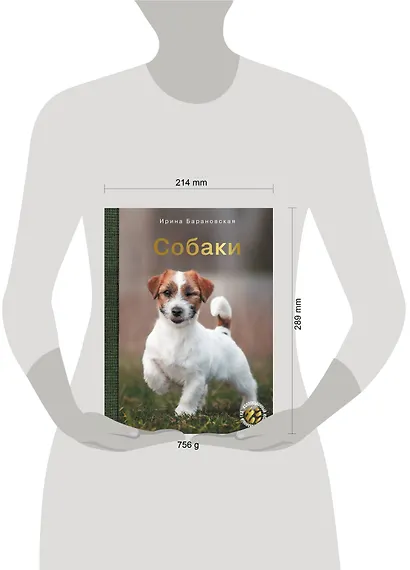 Собаки - фото 4