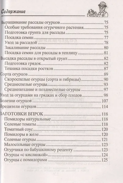 Помидоры, огурцы - фото 3